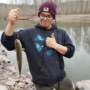 Meet your Posher, Jose